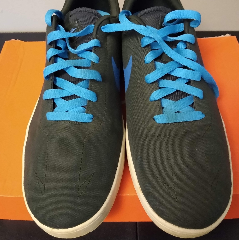 Eric Koston Nike Skate Shoe